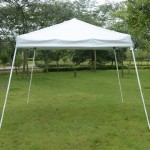 10x10-quick-canopy-tent rental